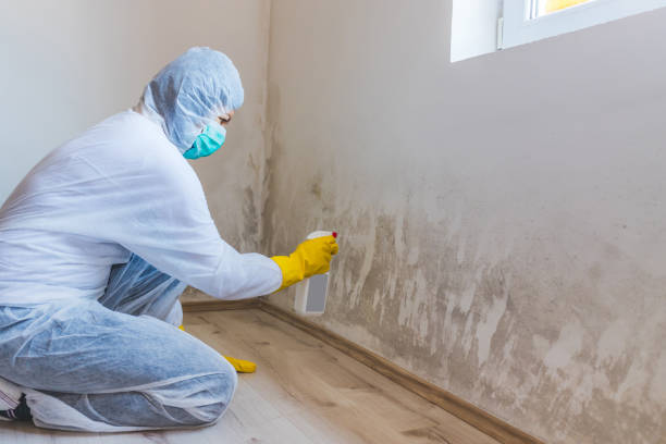 Commercial Mold Remediation assessment for commercial property in Lockport